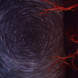 Les Échos d’Althéa