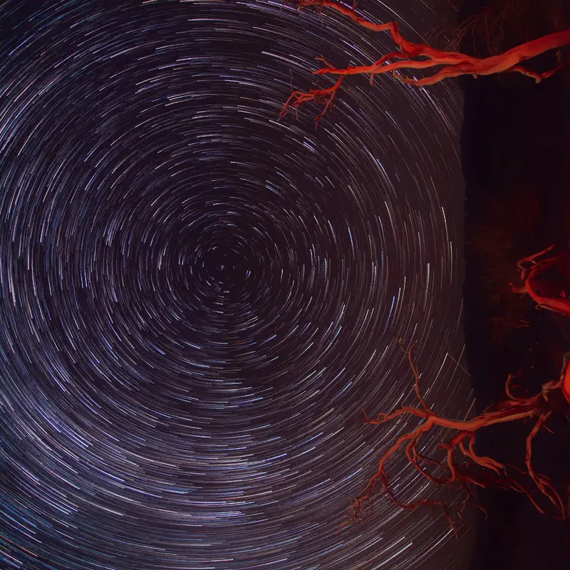 Les Échos d’Althéa