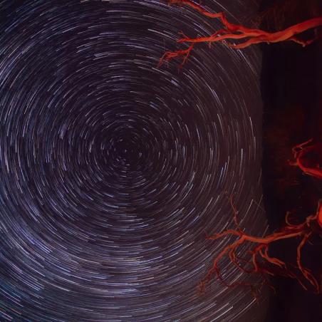 Les Échos d’Althéa