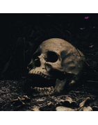 Oniric - capsules de rêves catégorie : Horreur